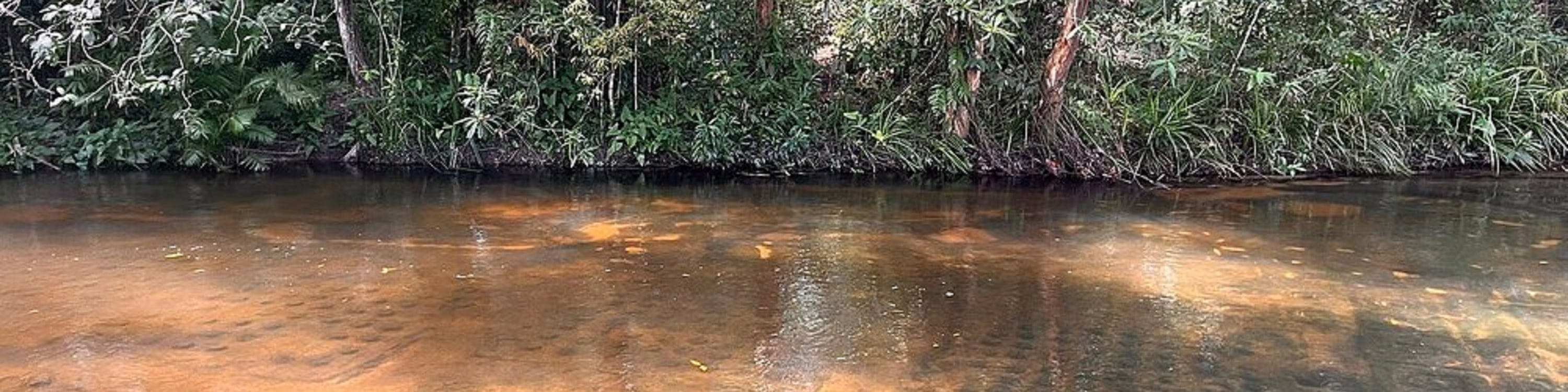 庫倫山、瀑布之旅 (Phnom Kulen Tour)