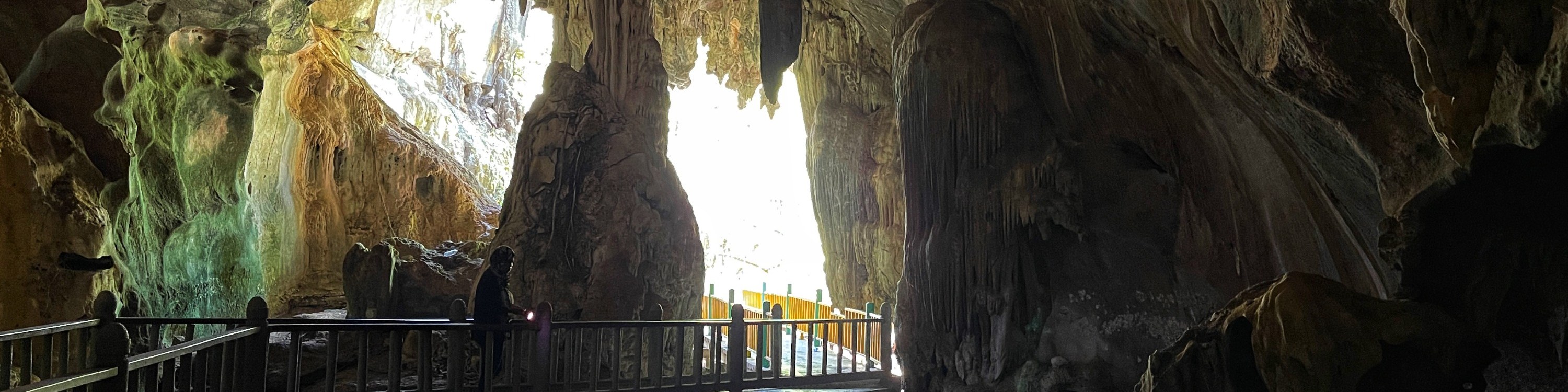 蘭卡威皇家紅樹林之旅