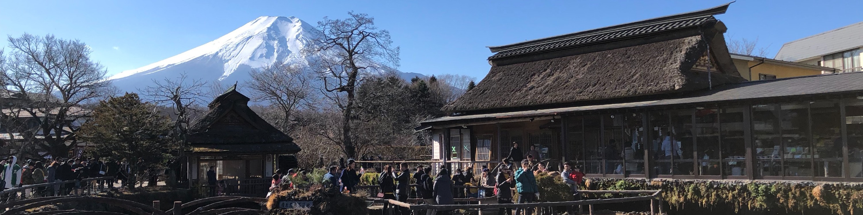 富士山觀光一日遊（東京出發）