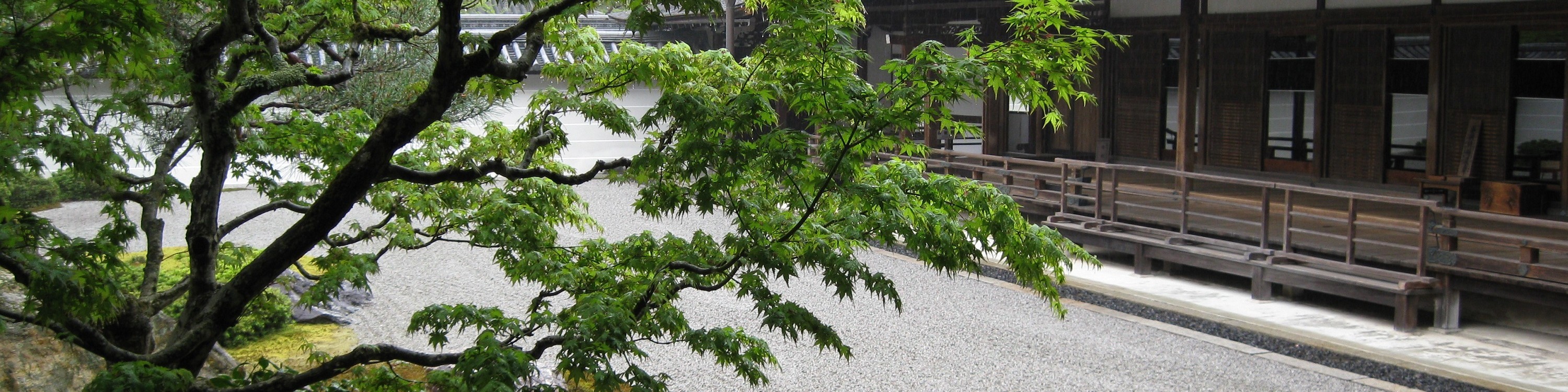 京都自行車探索體驗