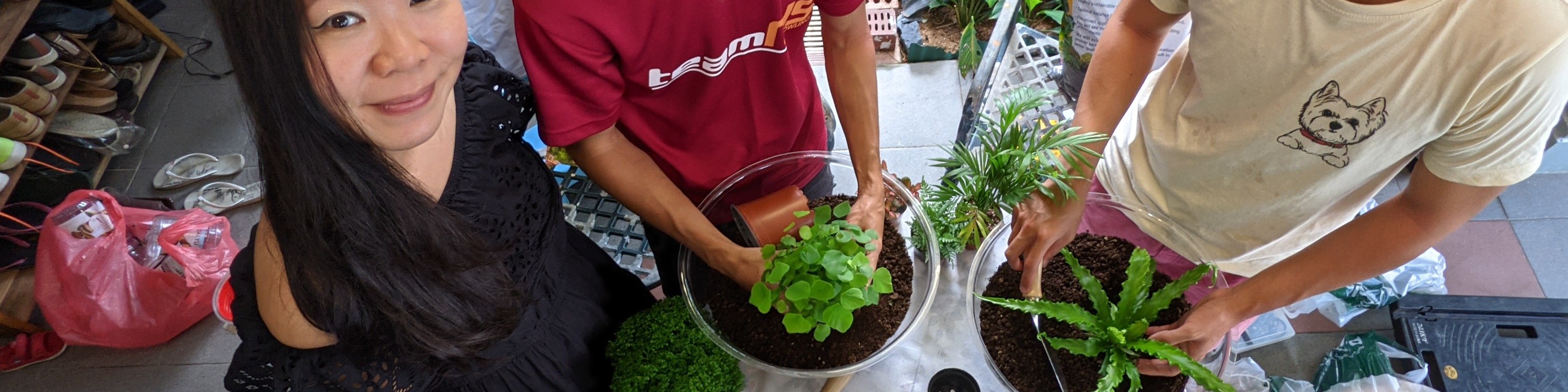The Sundowner 大型植物缸工作坊