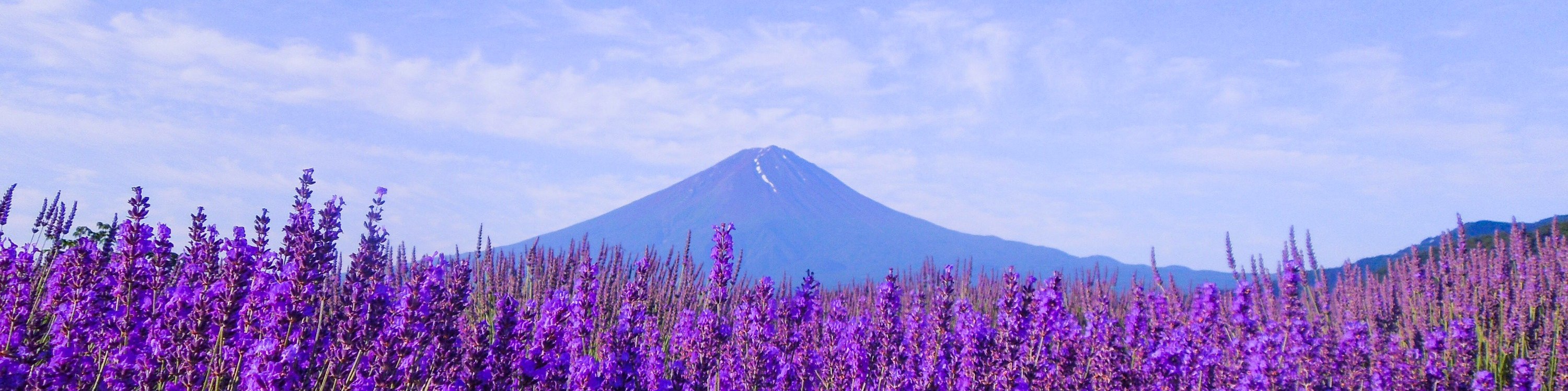 大石公園 & 富士山 & 時令水果採摘一日遊（東京出發）