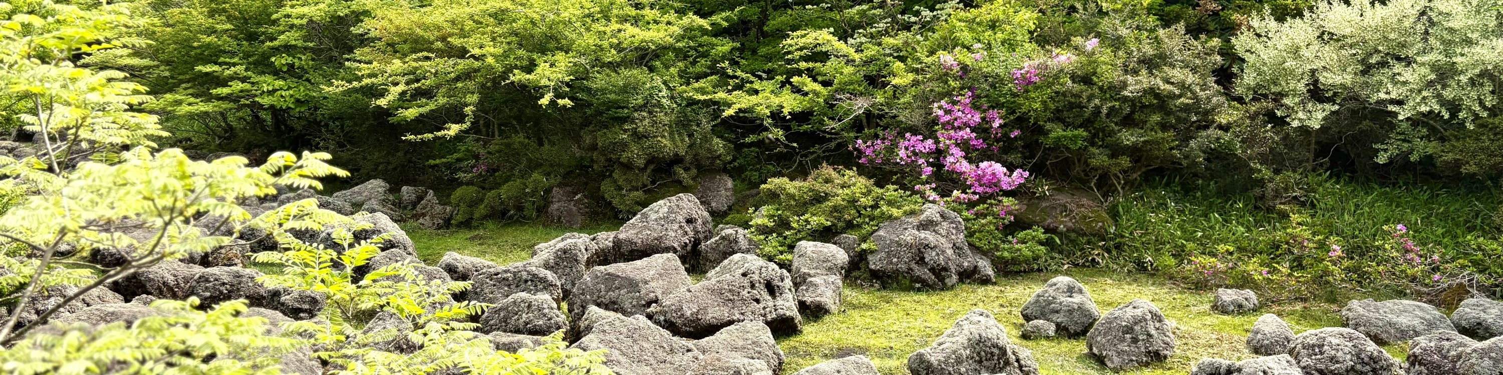 濟州賞櫻及草莓採摘小團一日遊