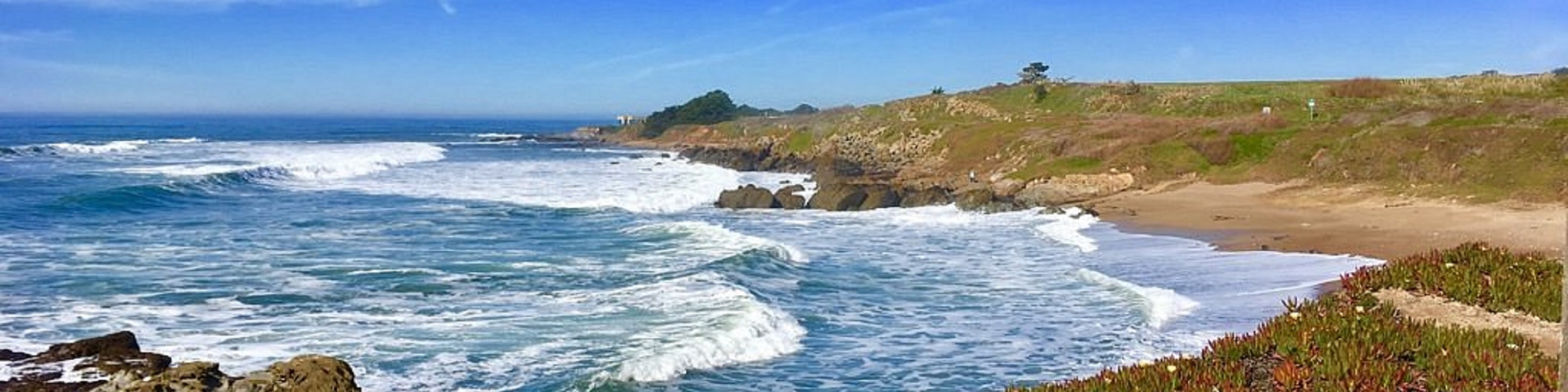 17-Mile and Pebble Beach Day Tour from Los Angeles