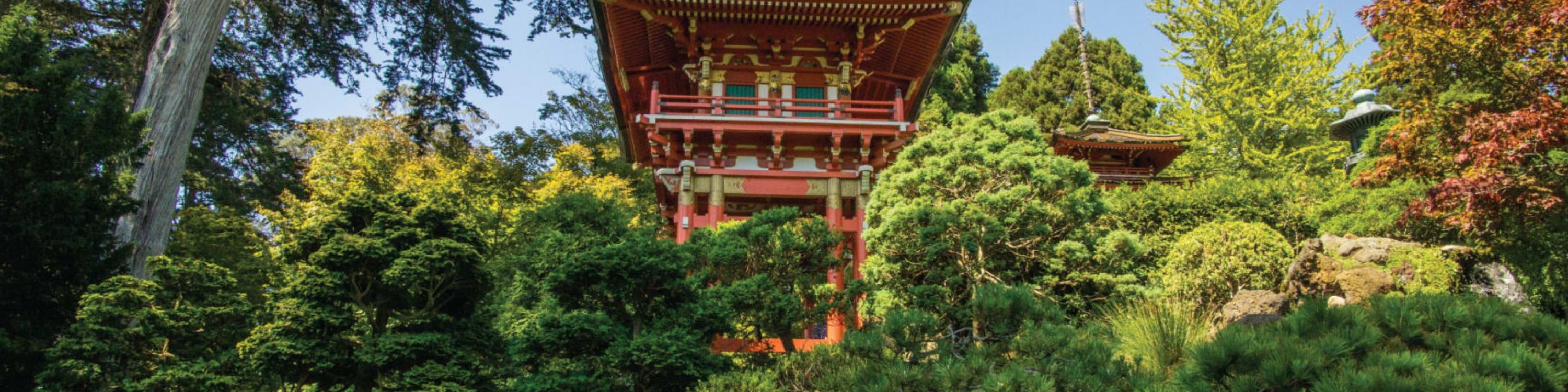 舊金山隨上隨下觀光巴士（2日）＆惡魔島之旅