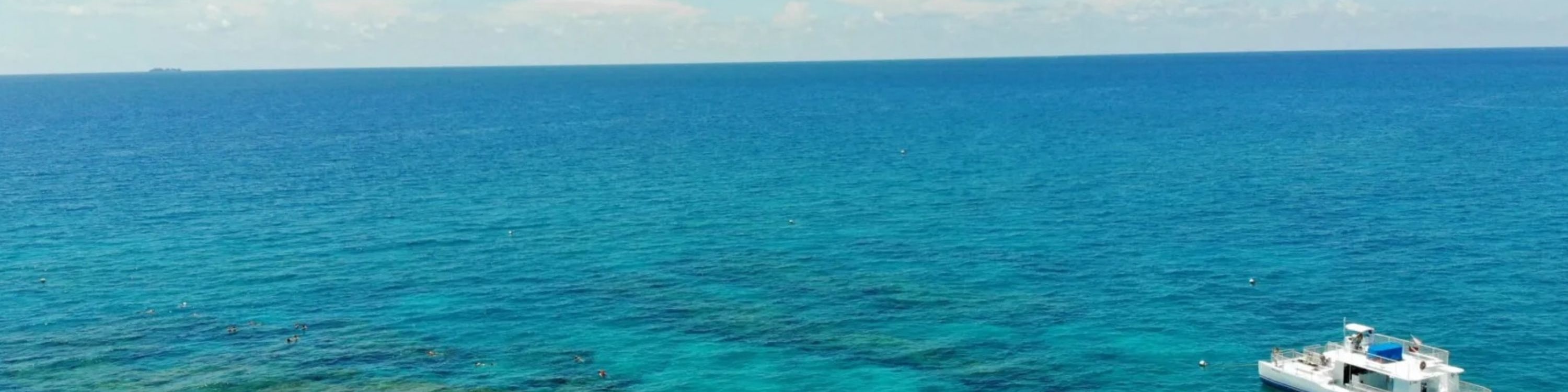 基韋斯特海豚觀賞遊船和浮潛體驗