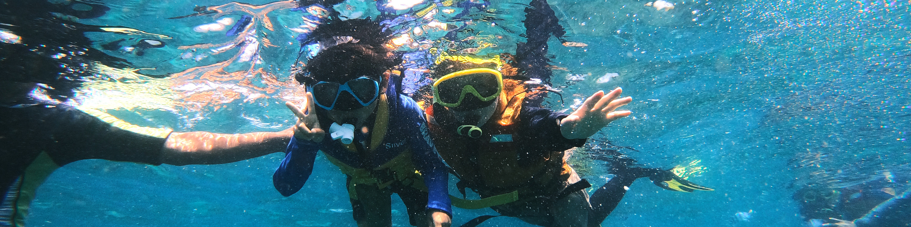 龜島 & 玻璃底船 & 紅樹林巡航之旅（JTB Indonesia提供）