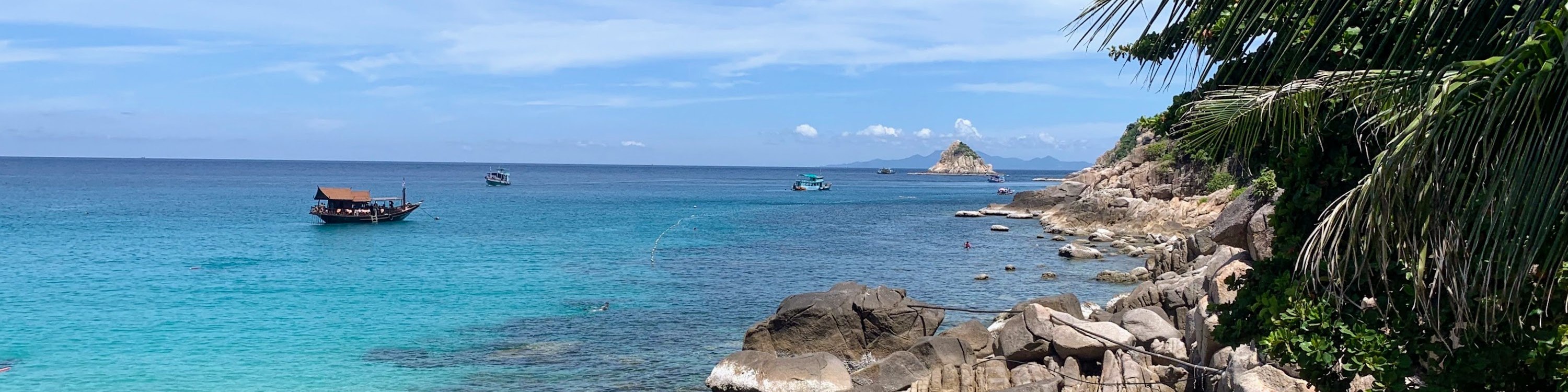 從帕岸島出發的濤島和南園島高級浮潛之旅