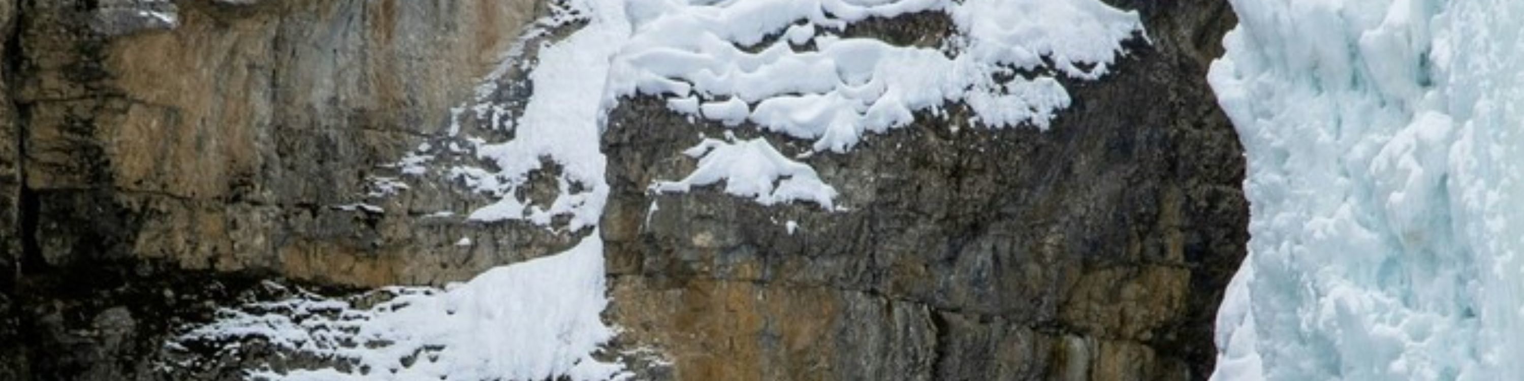 班夫強斯頓峽谷之旅 (Johnston Canyon Tour in Banff)