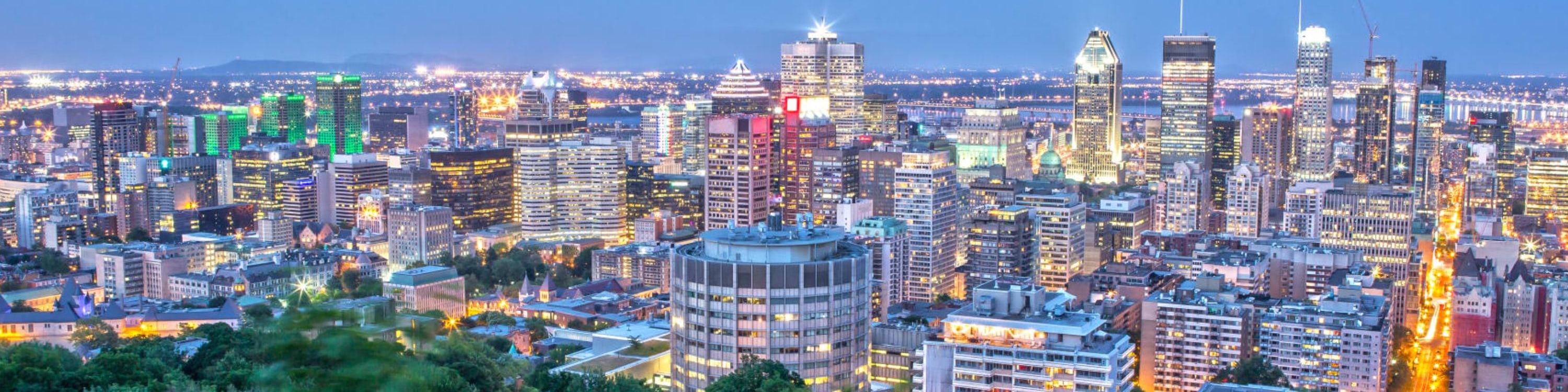 See the city light up under the cover of the night sky