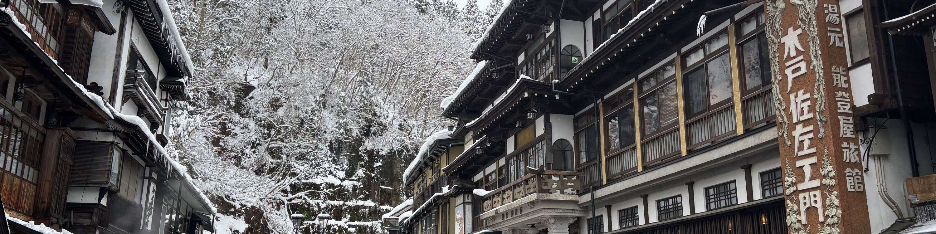冬季大雪飄落的美景,彷彿進入夢幻的國度 冬季大雪飄落的美景,彷彿進入夢幻的國度