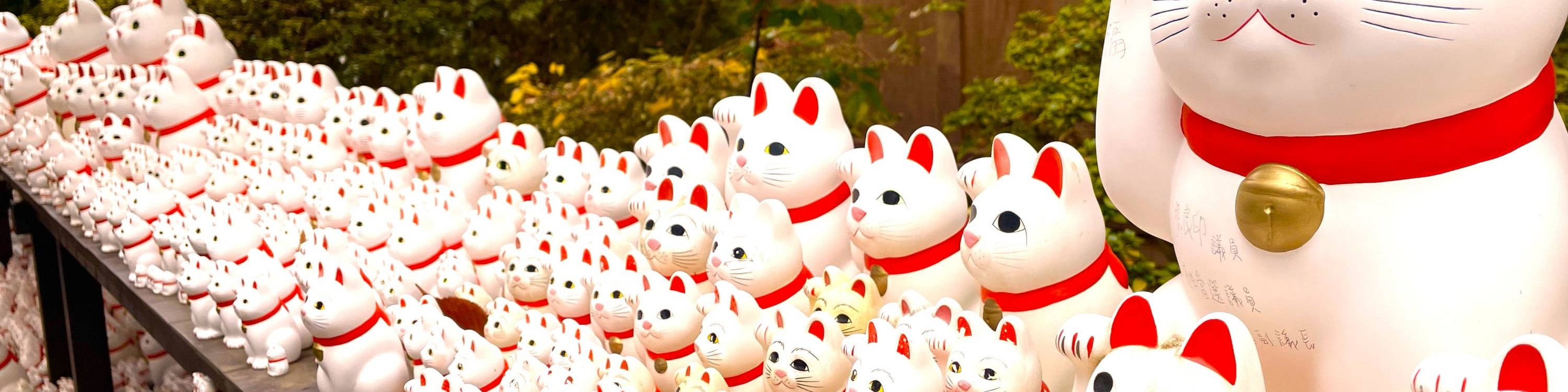 Tokyo Cat Cafe & Gotokuji Temple Half-Day Tour - Thumbnail 40