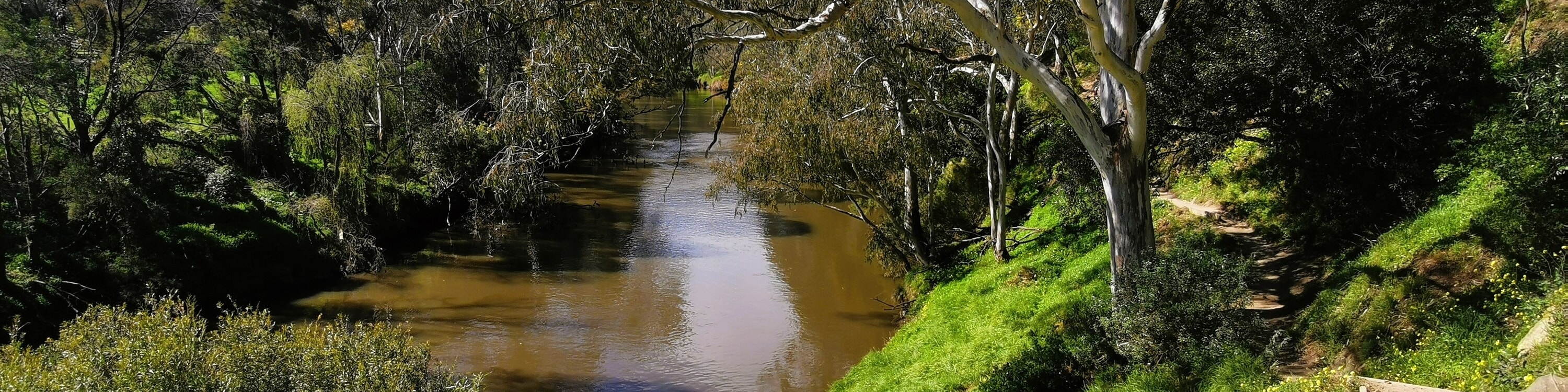 Yarra River Walk & Heritage Convent Experience