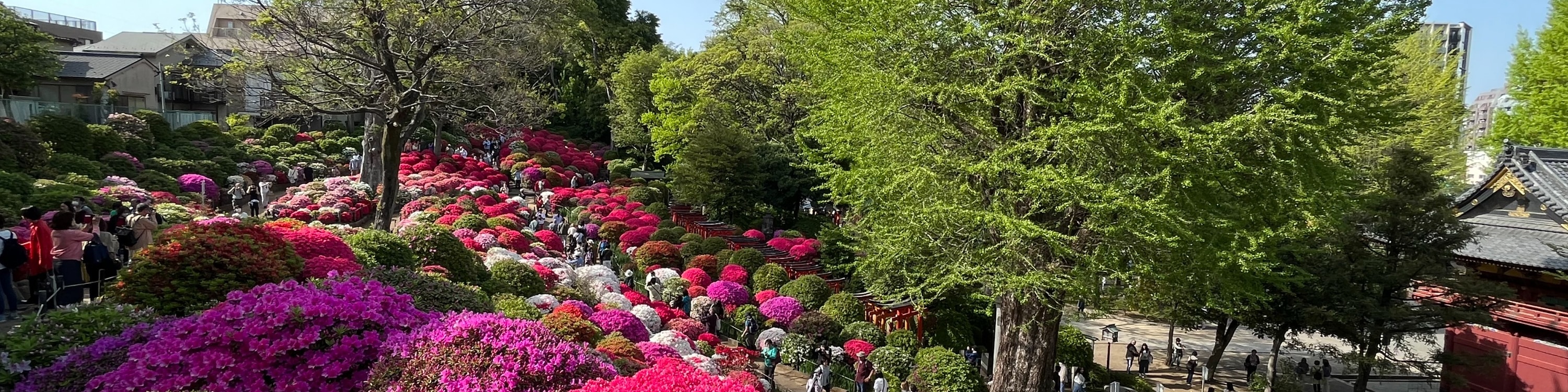 東京谷中徒步導覽