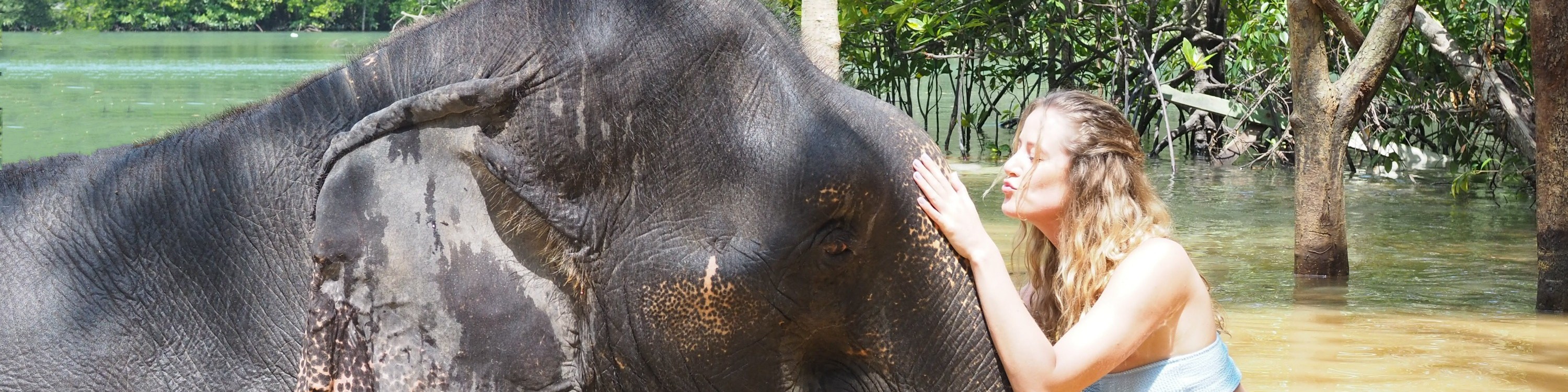 甲米大象保護區（Krabi Elephant Shelter）體驗