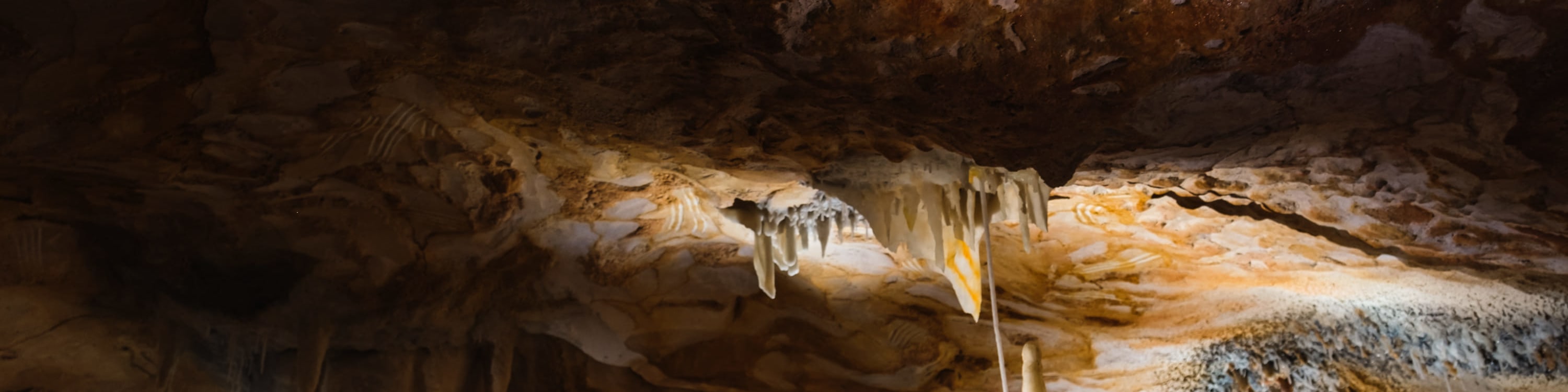 Cosquer Cave Ticket in Marseille