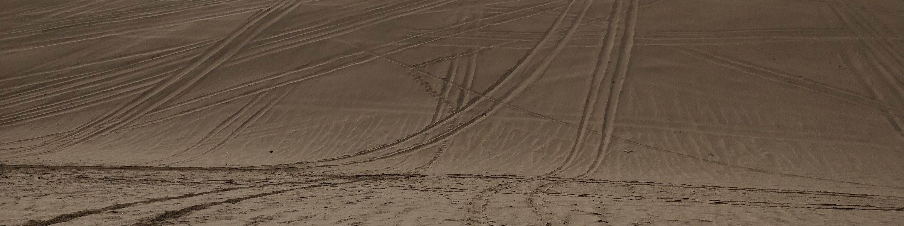  Doha Desert Safari: Thrilling Adventures in the Heart of the Dunes