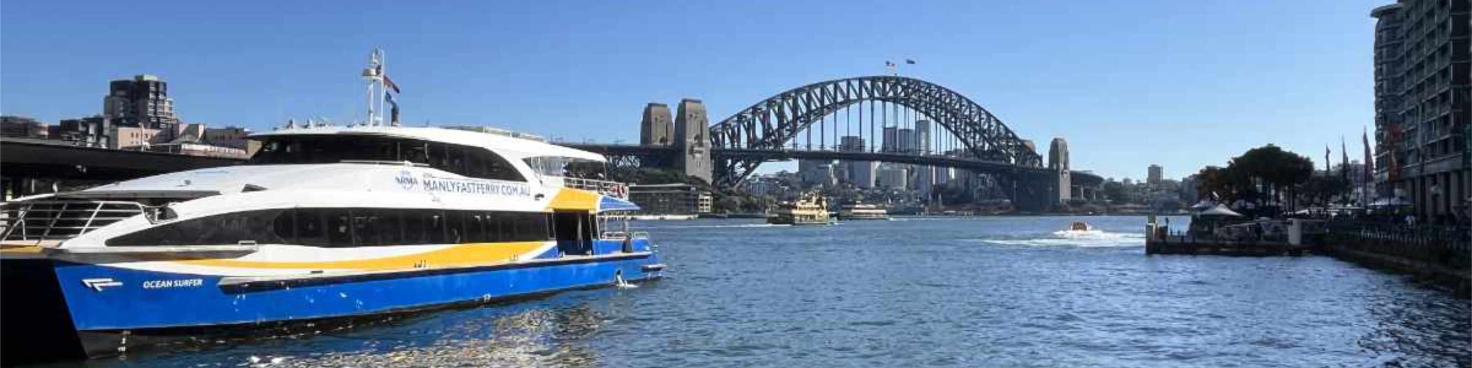 Sydney City and Bondi Beach Half Day Private Tour - Thumbnail 10