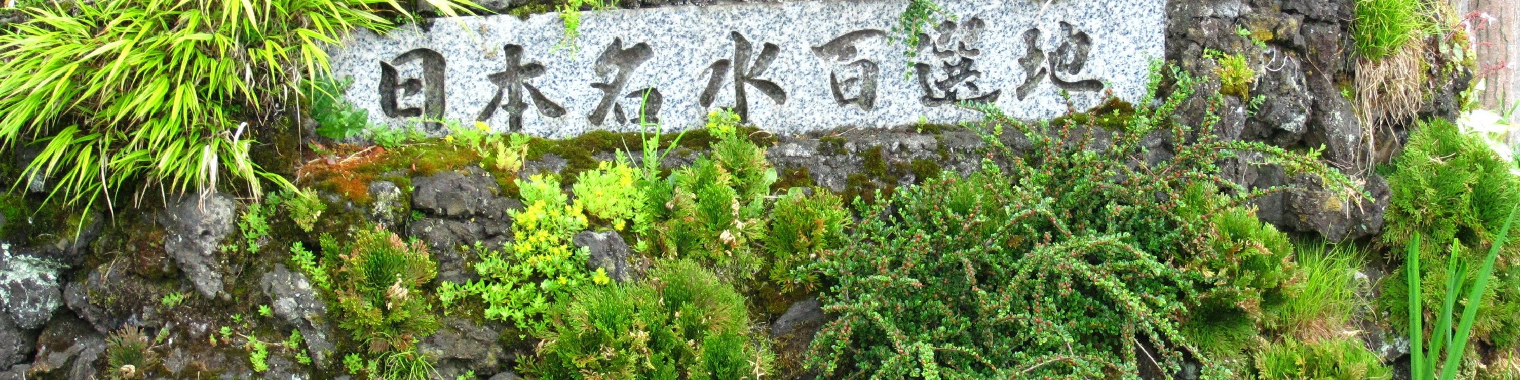One-Day Tour to Mt. Fuji's Popular Flower Viewing Spots (Depart from Tokyo or Shinjuku)