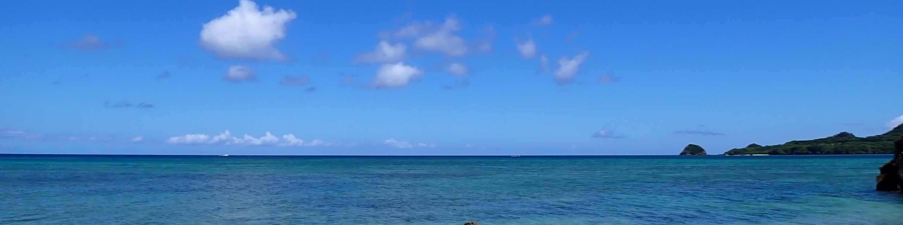 【石垣島】私人獨木舟體驗：楚良間獨木舟或紅樹林獨木舟（含行程照片 / 免費接送）