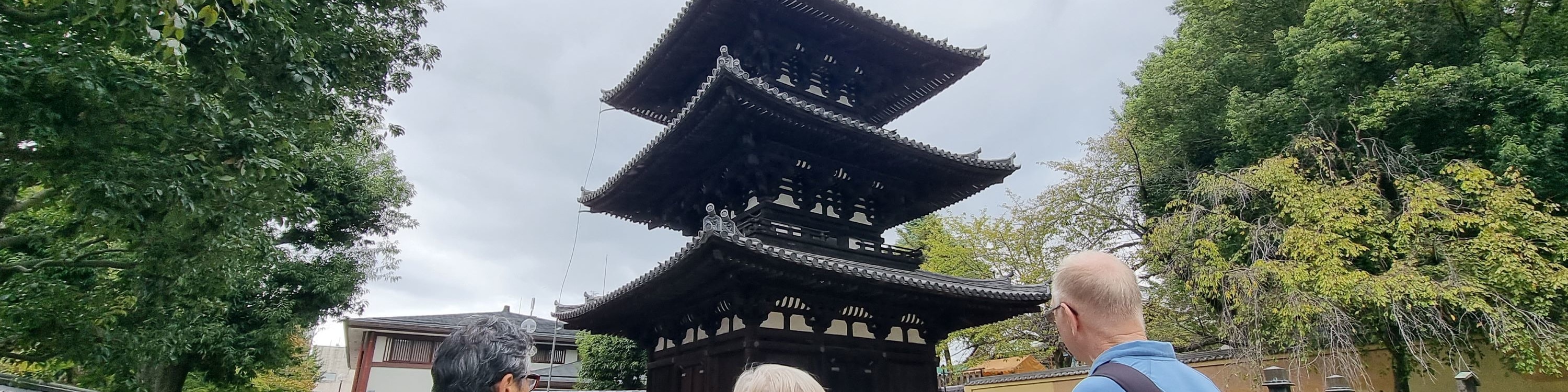 Nara World Heritage PRIVATE TOUR（Autumn leaf season）