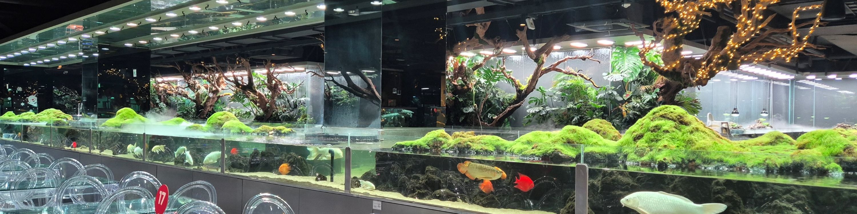 Ilsan Aqua Garden&Begonia&Gapyeong SeenB Zoo&Gapyeong Cruise Tour