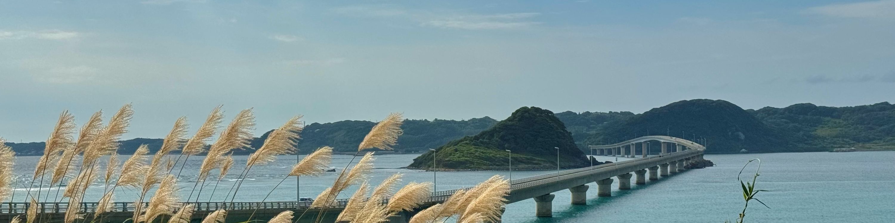 九州｜門司港＆唐戶市場＆角島大橋＆元乃隅神社一日遊（福岡出發）