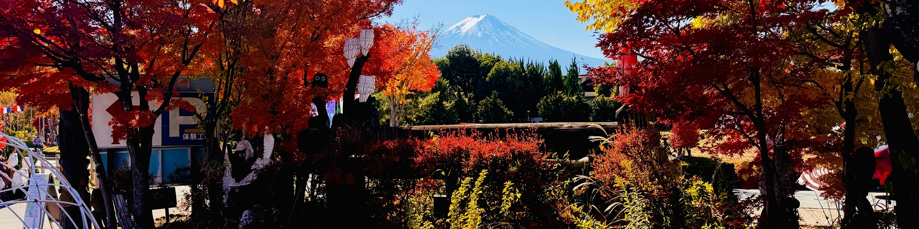 秋天的河口湖工藝公園，世界彷彿沐浴在溫暖的色彩中。楓葉在陽光下閃爍著金黃、橙紅和深紅的層次。微風輕拂，落葉輕輕飄落地面。