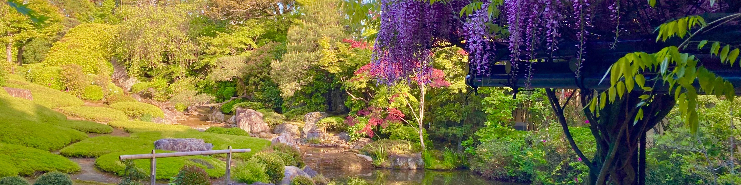 京都妙心寺 退蔵院門票