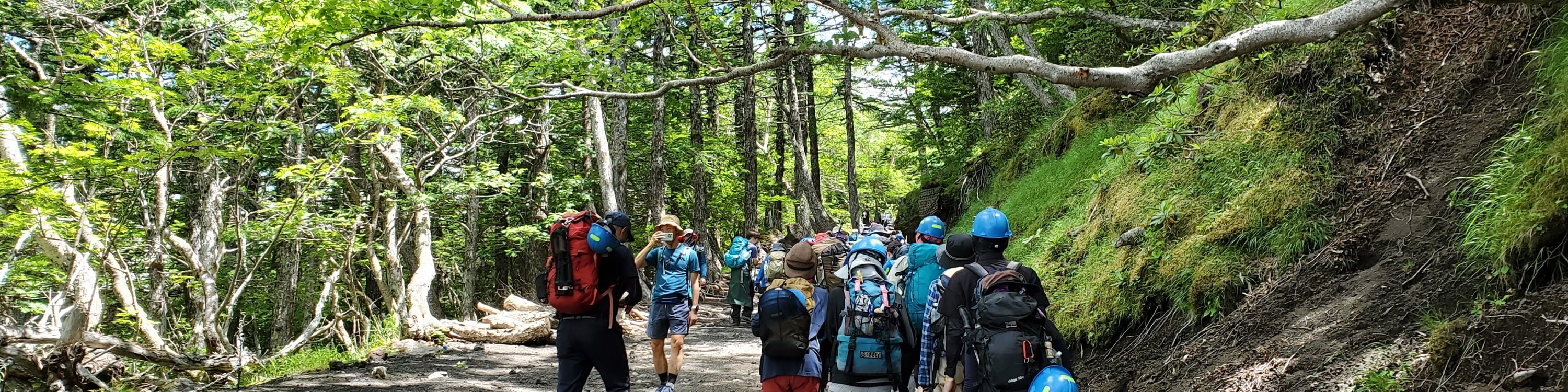 富士山登山之旅 2025 東京出發 2日遊巴士之旅