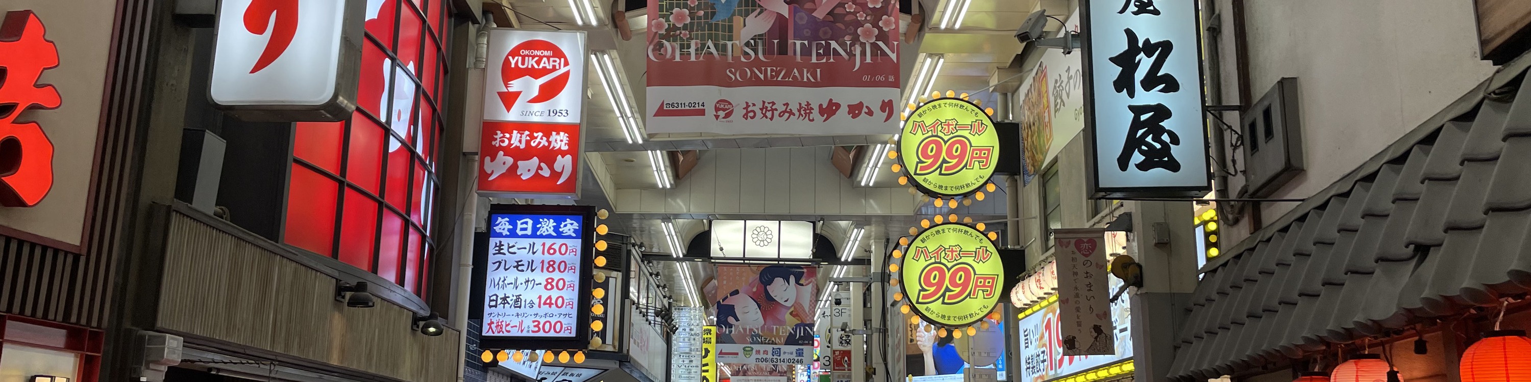 Osaka Private Tour: Custom Highlights with a Licensed Guide
