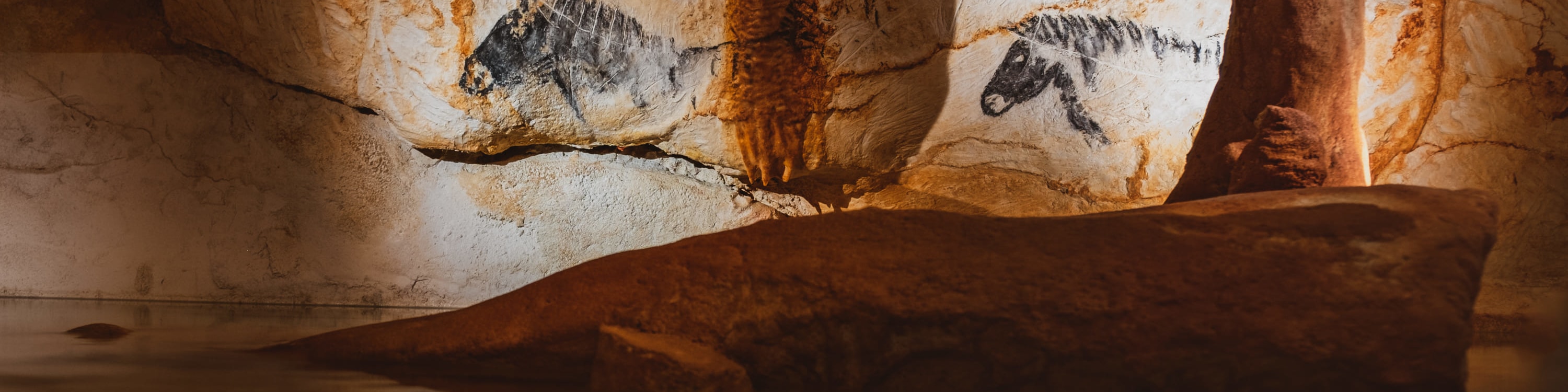 Cosquer Cave Ticket in Marseille