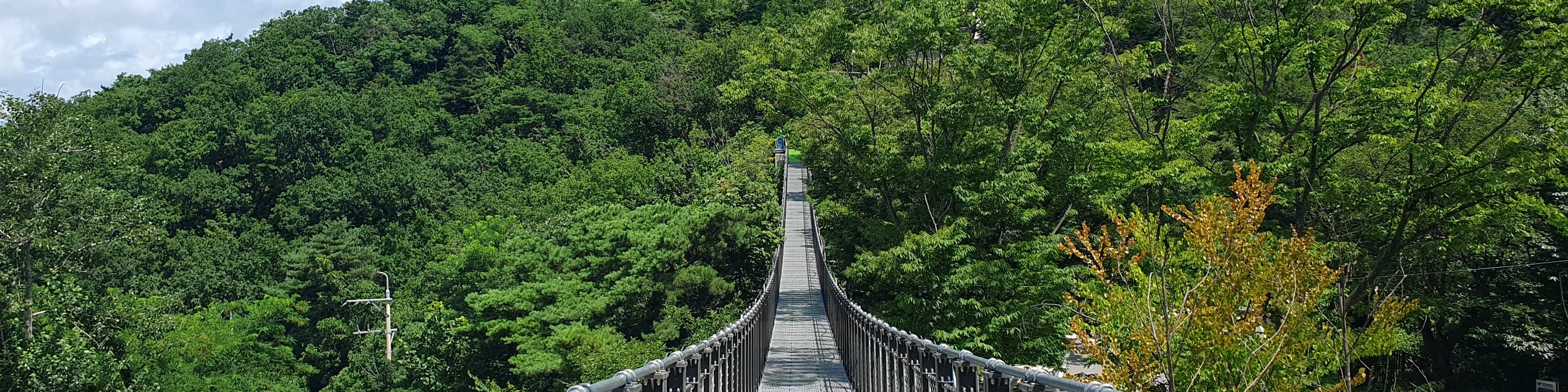 位於京畿道金浦市的愛妓峰和平生態公園內的愛妓峰吊橋，是韓國對和平與統一的渴望的辛酸象徵。