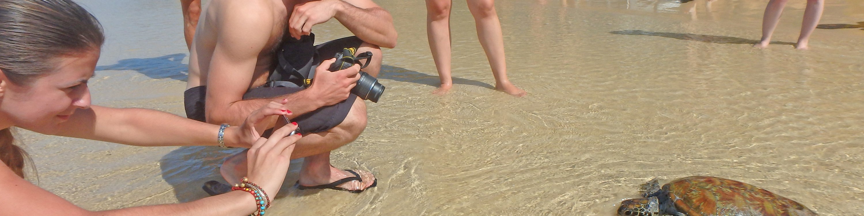 Noosa Dolphin Kayak Tour & Beach 4X4 Adventure