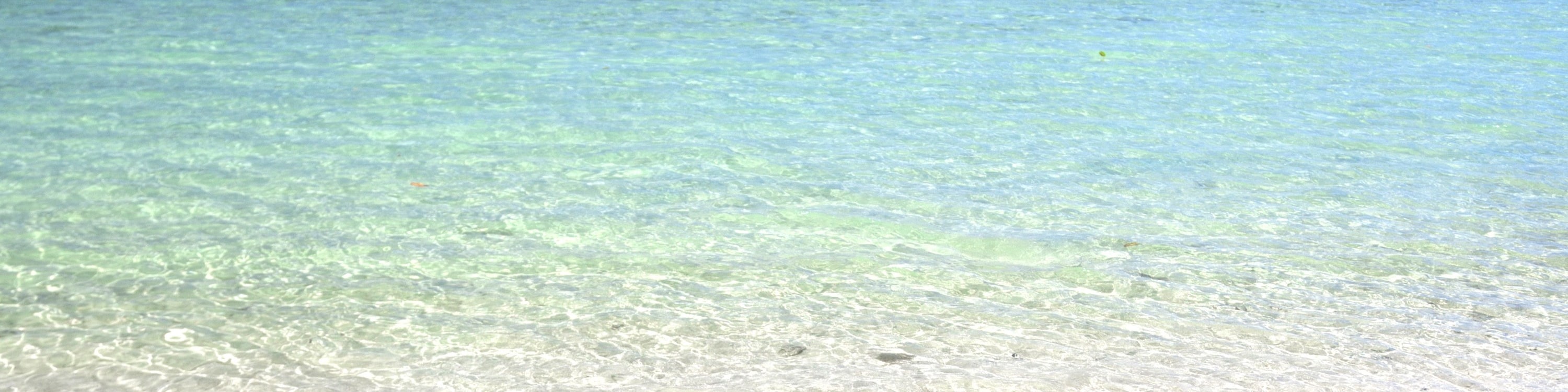 Ishigaki Island/1 day Kabira Bay SUP/Canoe & Blue Cave Snorkeling Experience (Okinawa)