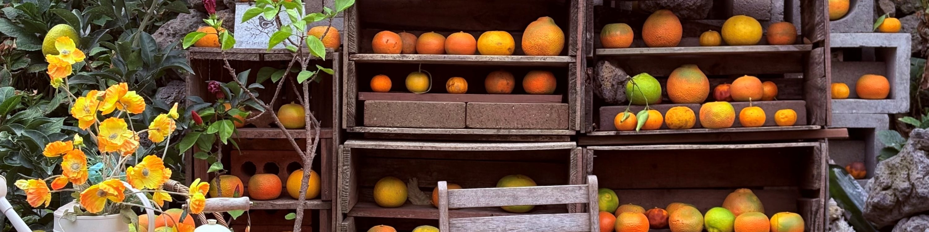 在咖啡館內和周圍的橘子農場,用您的Instagram照片捕捉柑橘風情的懷舊感。 在咖啡館內和周圍的橘子農場,用您的Instagram照片捕捉柑橘風情的懷舊感。