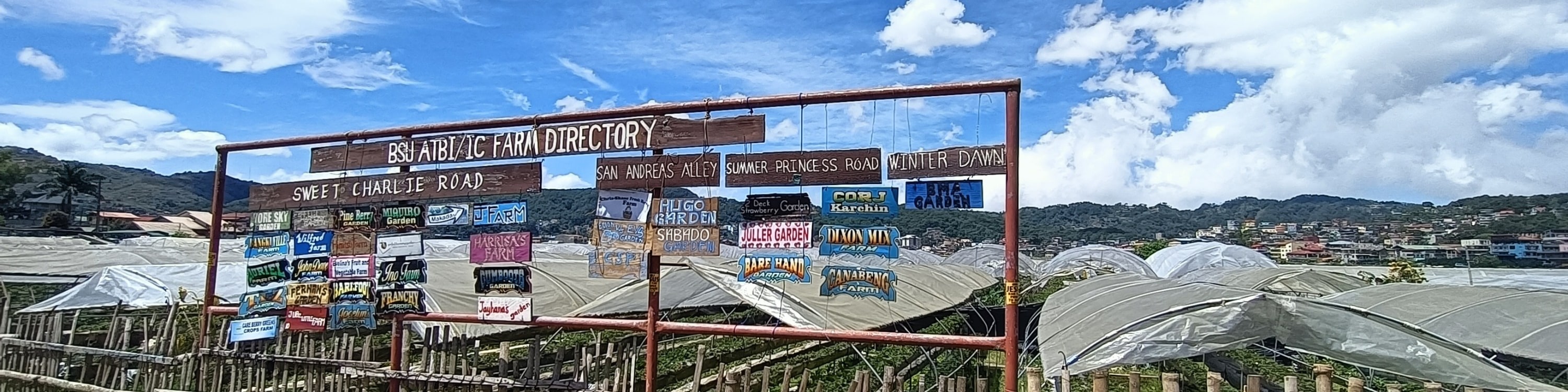 strawberry farm in baguio