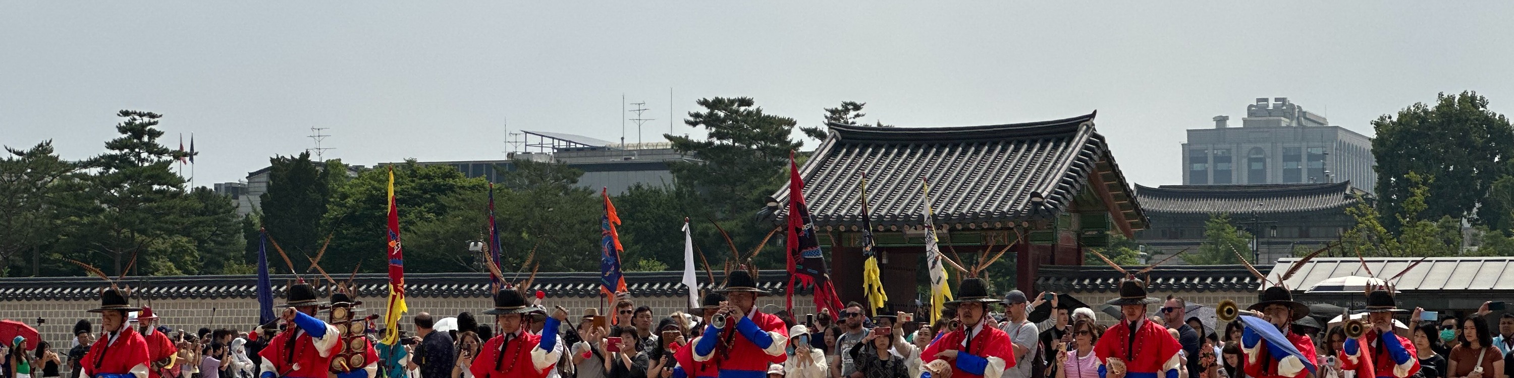 最佳首爾宮殿和N首爾塔之旅（半日和全天）