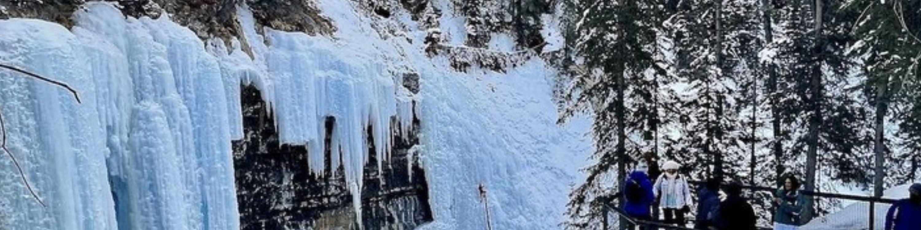 班夫強斯頓峽谷之旅 (Johnston Canyon Tour in Banff)