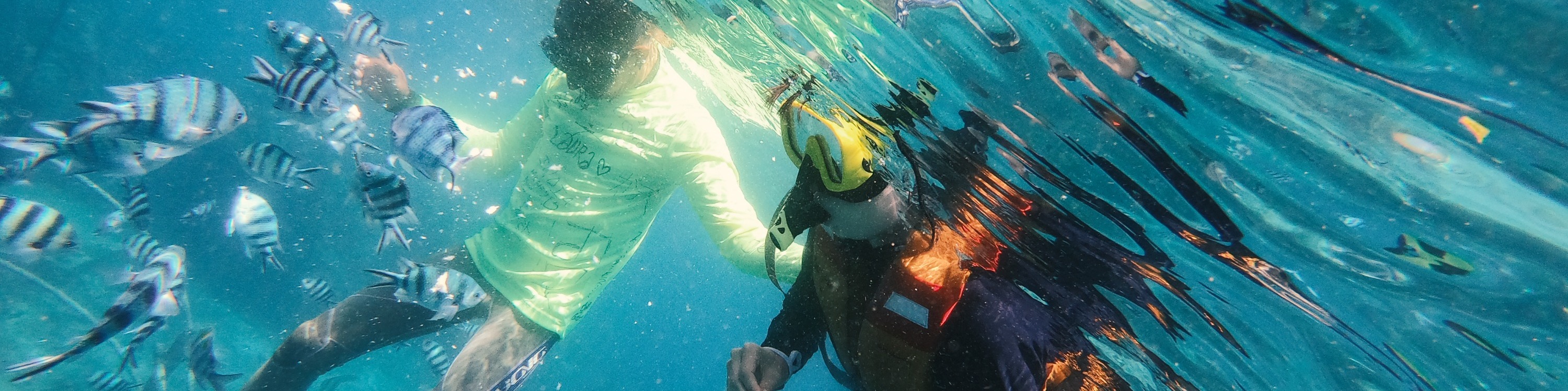 龜島 & 玻璃底船 & 紅樹林巡航之旅（JTB Indonesia提供）