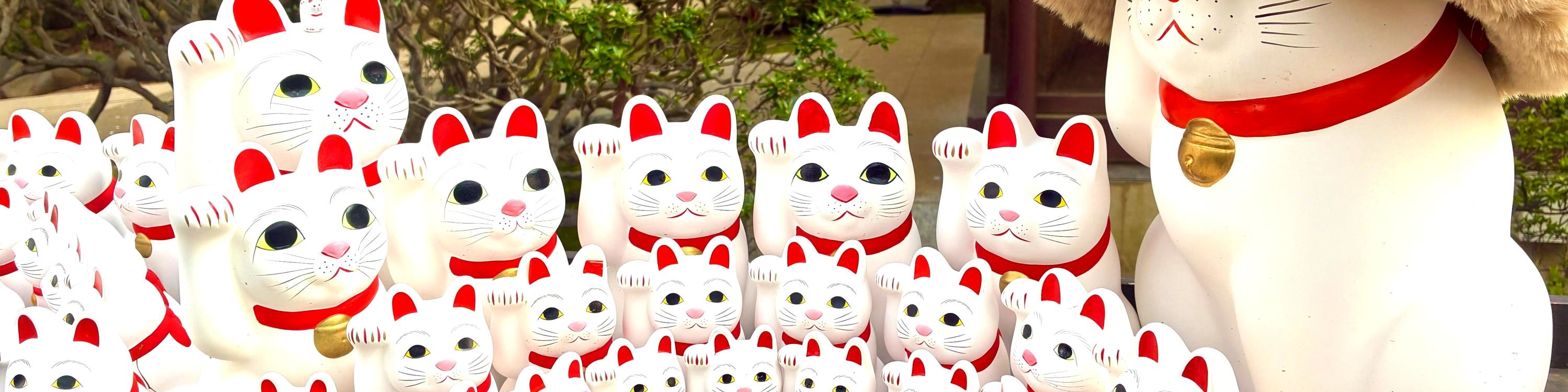 Tokyo Cat Cafe & Gotokuji Temple Half-Day Tour - Thumbnail 23