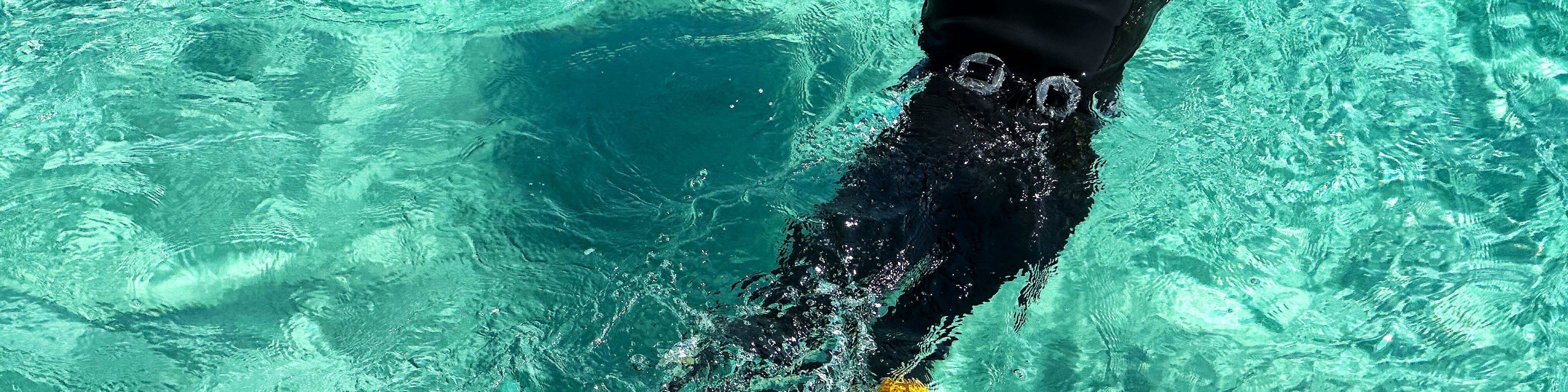 觀看真正的濟州海女潛入水中捕撈,將是欣賞她們聯合國教科文組織名錄文化的好機會。 觀看真正的濟州海女潛入水中捕撈,將是欣賞她們聯合國教科文組織名錄文化的好機會。