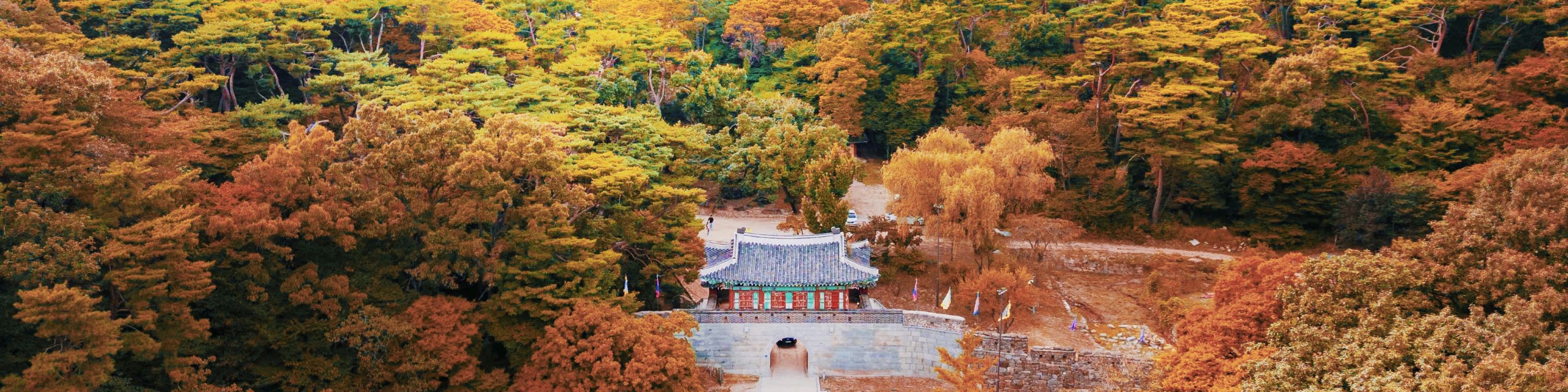DMZ 非軍事區一日遊（首爾出發）