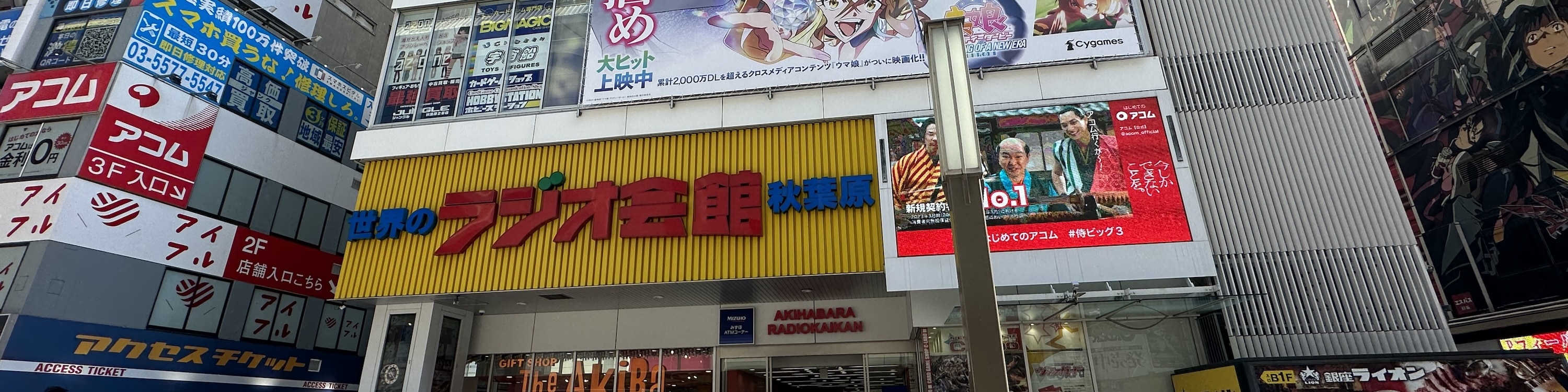 Private Akihabara Retro Tokyo Anime Game Maid Cafe Tour w/ pickup