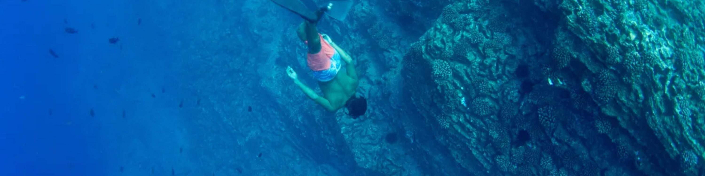 考艾島尼豪島與納帕利海岸船遊