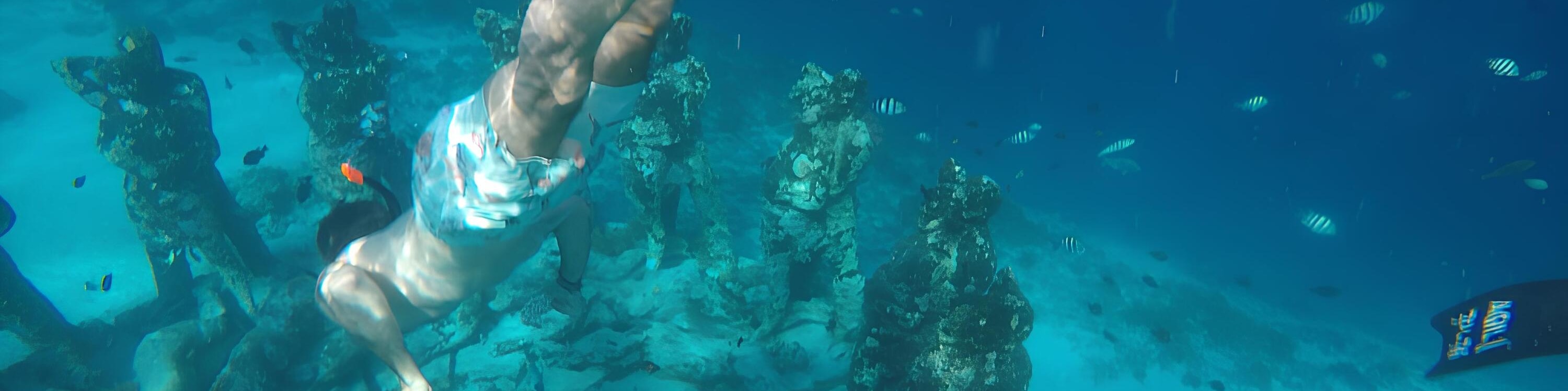 Sharing Snorkeling and Swimming with Turtles Boat Tour Gili Air
