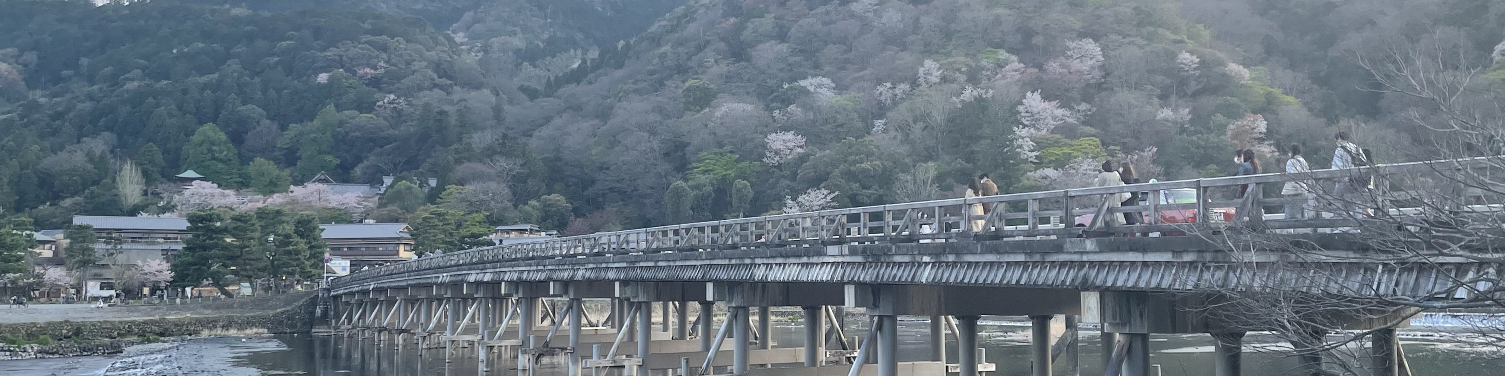 京都 & 奈良私人包車遊覽（帶英文導遊）