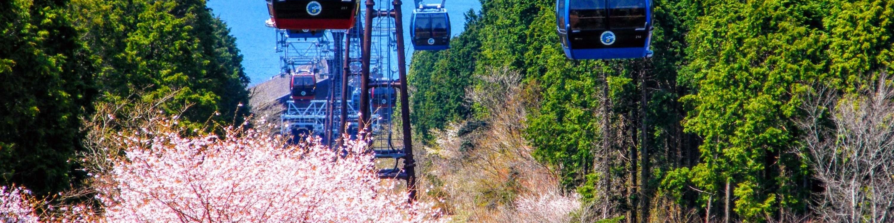 富士山＆箱根一日遊 客製化包車