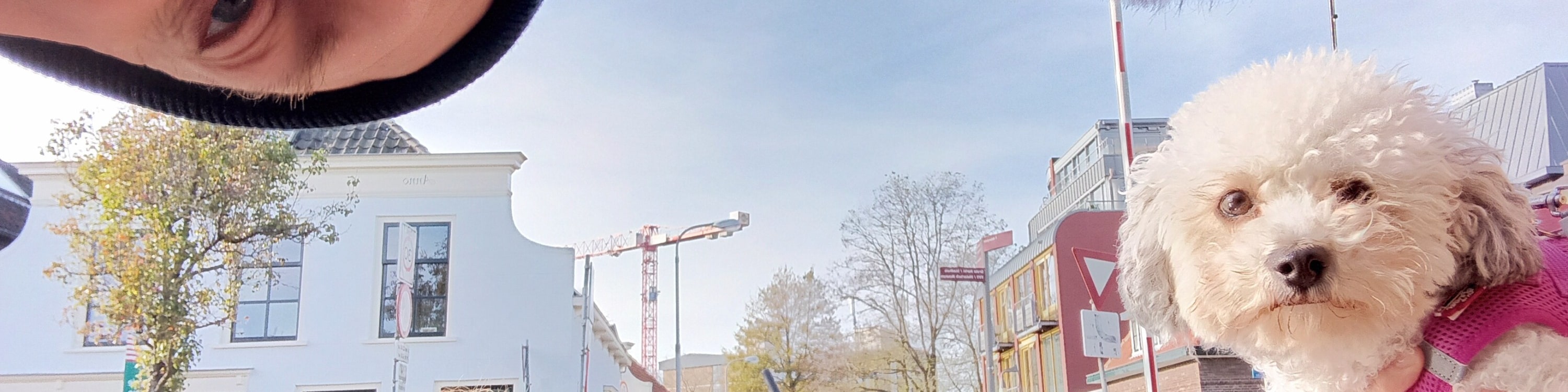 安特衛普半日互動式體驗城市之旅