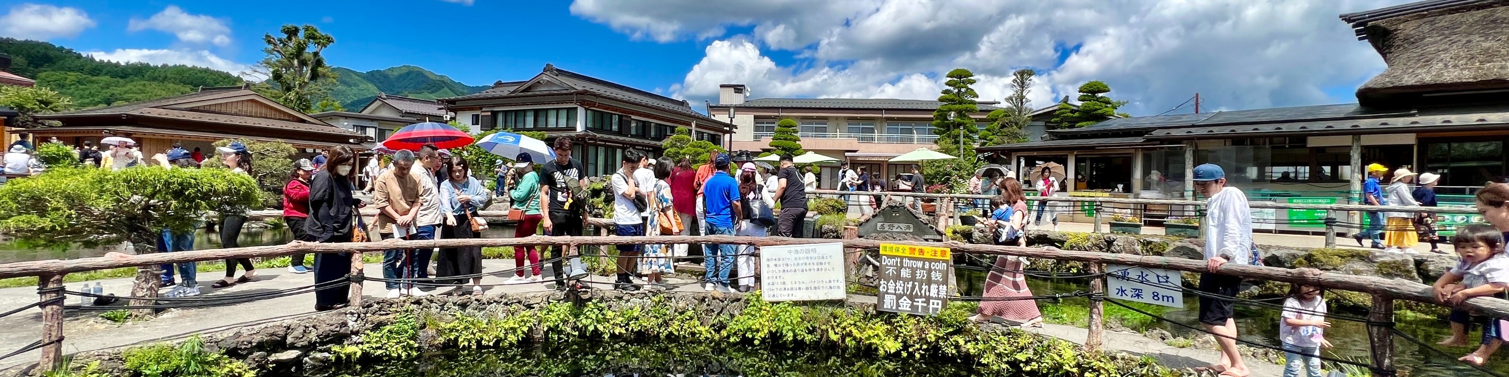 富士山人氣水陸兩用船一日遊｜河口湖大石公園&忍野八海&山中湖KABA BUS河馬水陸兩用遊船（可選）&平野之浜（東京出發）